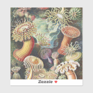 Adesivo Anêmonas-do-mar de Haeckel Colagem de arte náutica