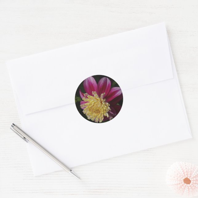 Adesivo Anemone rosa Dahlia Bloom Floral (Envelope)