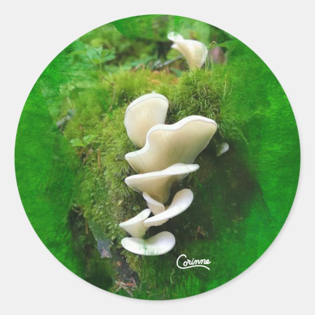 Adesivo Angel Wing Mushroom - Envelope Stickers (Frente)