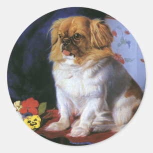 Adesivo Animais Antigos, Cachorrinho de Brinquedo Pequinês