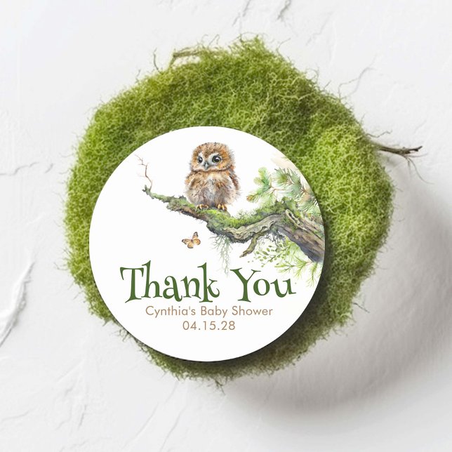 Adesivo Animais Da Madeira Pequena Coruja Mossy Selvagem O (Little Owl Woodland Themed Thank You Stickers)