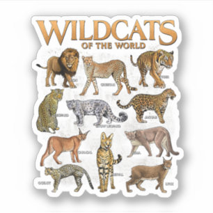 Adesivo Animais Felinos Selvagens do Mundo Educativo Selv