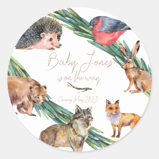 Adesivo Animais Florestais | Vinheta multiuso | Fauna (Frente)