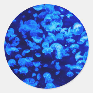 Adesivo Animais Neon Azuis Submarinos Brilhantes - Peixes-