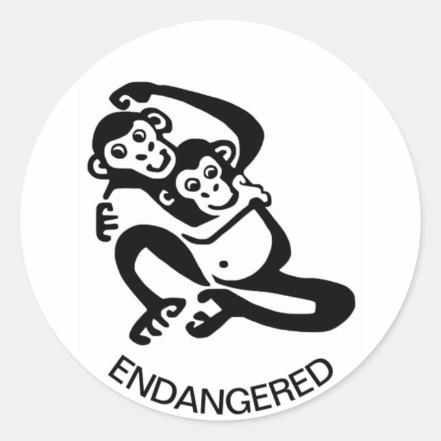 Adesivo Animais selvagens - BONOBO Legal - Chimpanzé - Áfr (Frente)