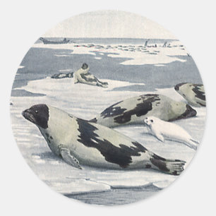 Adesivo Animais Selvagens Vintage, Selos Árticos Harbor I