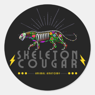 Adesivo Animal anatomy animal skeleton