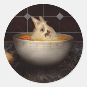 Adesivo Animal - Coelho - Há uma lebre na minha sopa