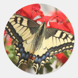 Adesivo Anise Swallowtail Sticker
