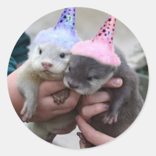 Adesivo aniversário da lontra