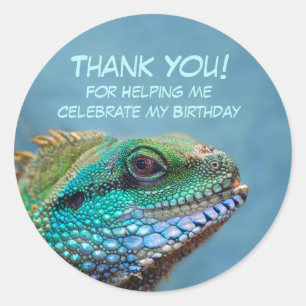 Adesivo Aniversário de Iguana Obrigado
