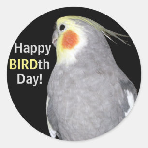 Adesivo Aniversário feliz do dia de BIRDth da foto do