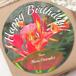 Adesivo Aniversário Vallarta Beleza 1583