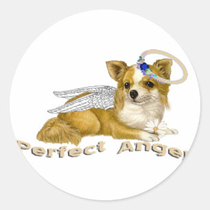 Adesivo Anjo perfeito da chihuahua
