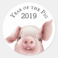 Ano bonito do selo de envelopes Pig 2019