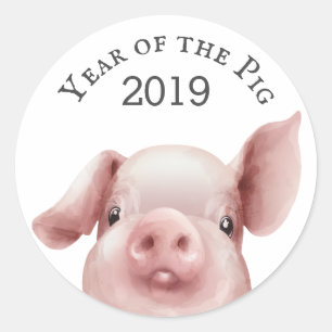 Adesivo Ano bonito do selo de envelopes Pig 2019