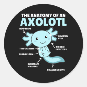Adesivo Anotação Axolotl Anatomia De Um Axolotl
