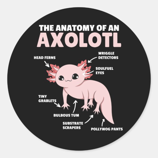 Adesivo Anotação Axolotl Anatomia De Um Axolotl (Frente)