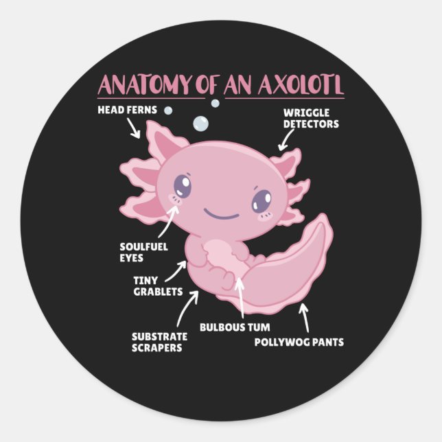 Adesivo Anotação Axolotl Anatomia De Um Axolotl (Frente)