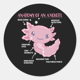 Adesivo Anotação Axolotl Anatomia De Um Axolotl