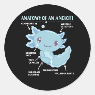 Adesivo Anotação Axolotl Anatomia De Um Axolotl