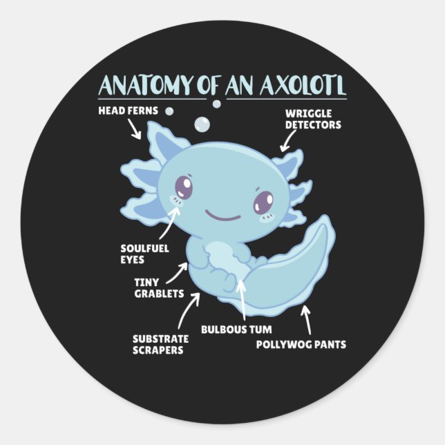 Adesivo Anotação Axolotl Anatomia De Um Axolotl (Frente)