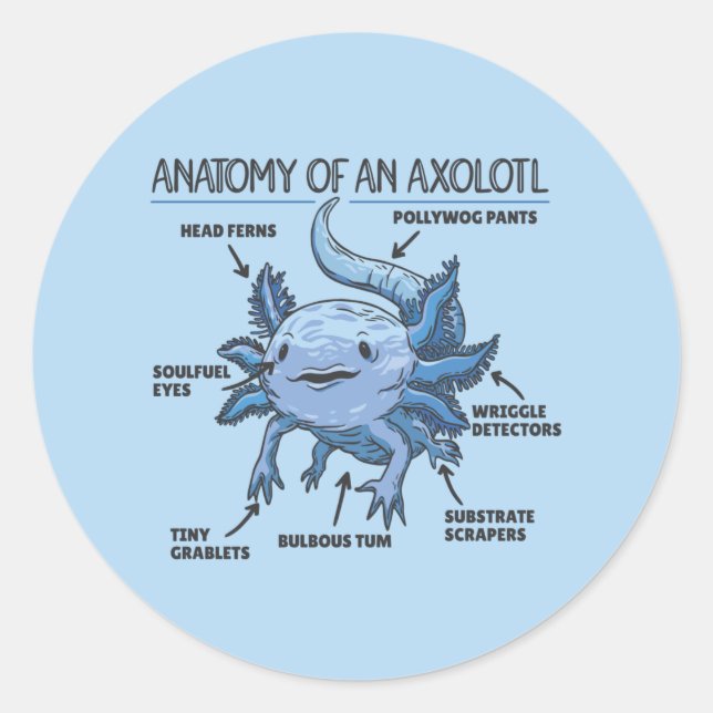 Adesivo Anotação Axolotl Anatomia De Um Clássico Axolotl (Frente)