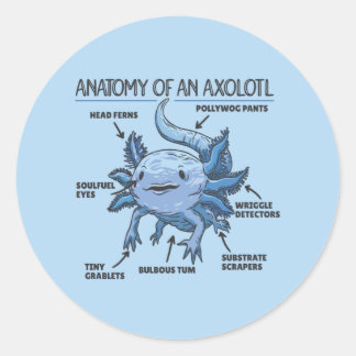 Adesivo Anotação Axolotl Anatomia De Um Clássico Axolotl