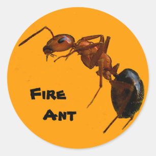 Adesivo Ant de Fogo
