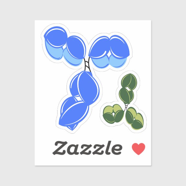 Adesivo Antibody IgG 1 or 4, blue and green (Folha)