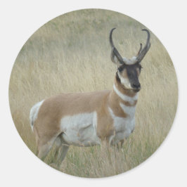 Adesivo Antílope Americano Grande Bicho