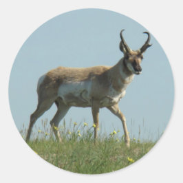 Adesivo Antílope Pronghorn A10 Caminhando Entre Flores Sil