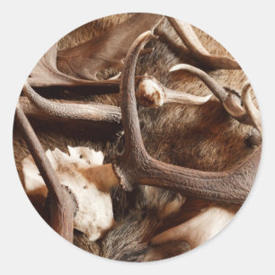 Adesivo Antlers dos alces dos alces dos cervos que caçam