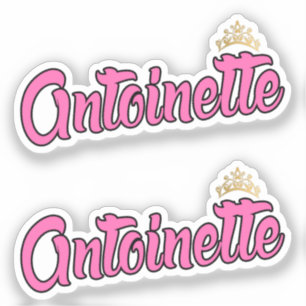 Adesivo Antoinette Pink Name x2 Vinyl