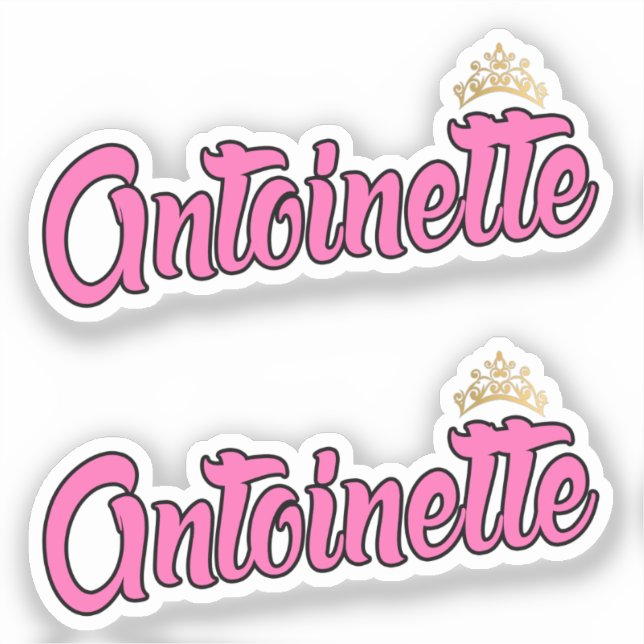 Adesivo Antoinette Pink Name x2 Vinyl (Frente)