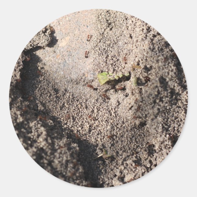 Adesivo Ants Go Marching (Frente)