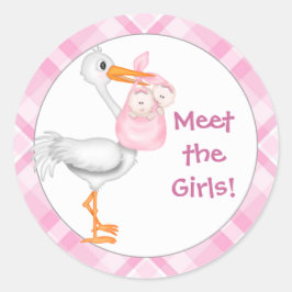 Adesivo Anúncio de Bebê de Garotas Gêmeas e Stork