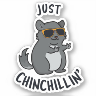 Adesivo Apenas Chin Chillin Funny Chinchilla Pun