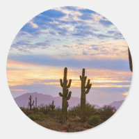 Apenas Outro Surgimento do Deserto de Sonoran Colo
