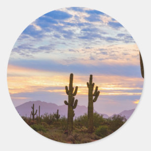 Adesivo Apenas Outro Surgimento do Deserto de Sonoran Colo