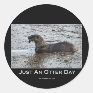Adesivo Apenas presentes de um dia da lontra