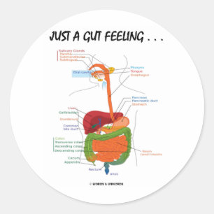 Adesivo Apenas um sentimento de intestino… (Humor do