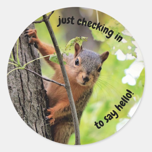 Adesivo Apenas Verificando Os Pentes (Frente)