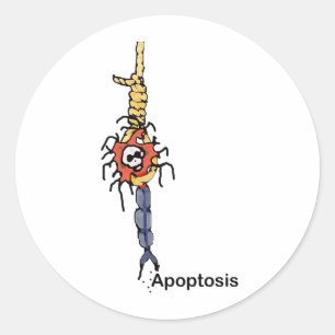 Adesivo Apoptose