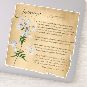 Adesivo Apothecary Herbal: Jasmine Vinheta botânica