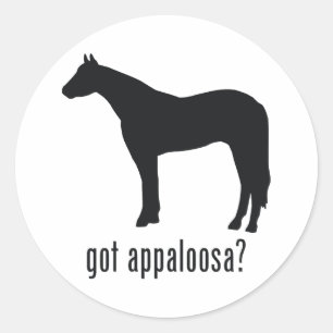 Adesivo Appaloosa