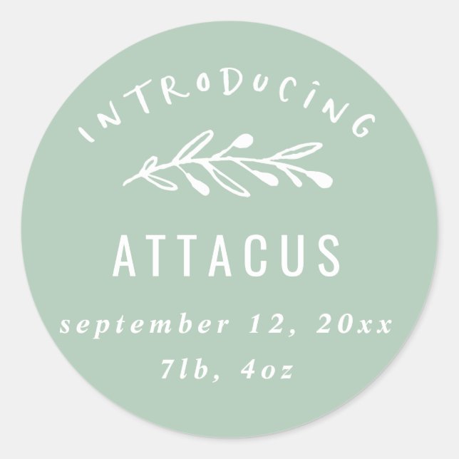 Adesivo Apresentação do anúncio de nascimento de uma sucur (Frente)