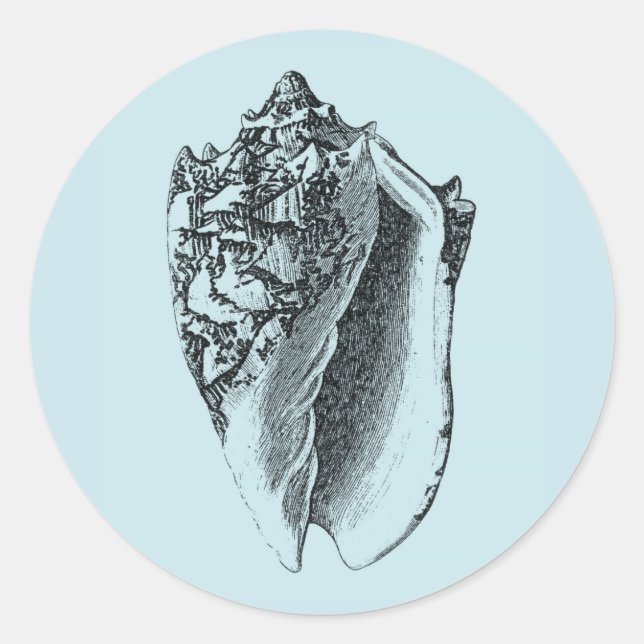 Adesivo Aqua Conch Shell (Frente)