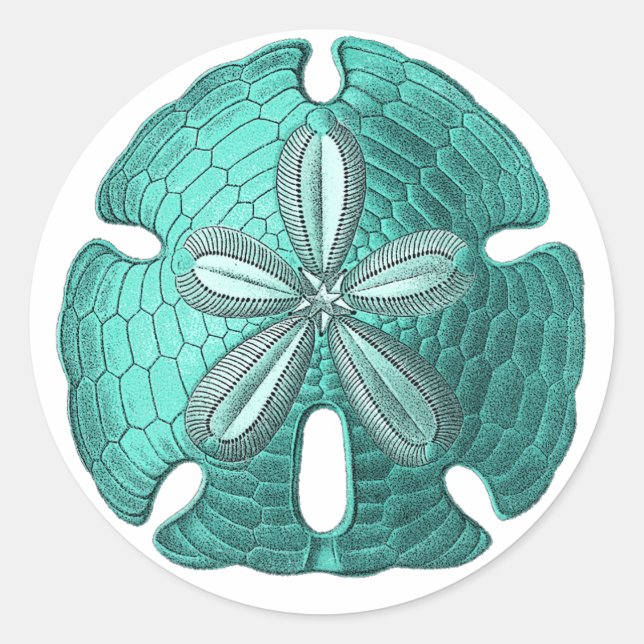 Adesivo Aqua Sand Dollar (Frente)