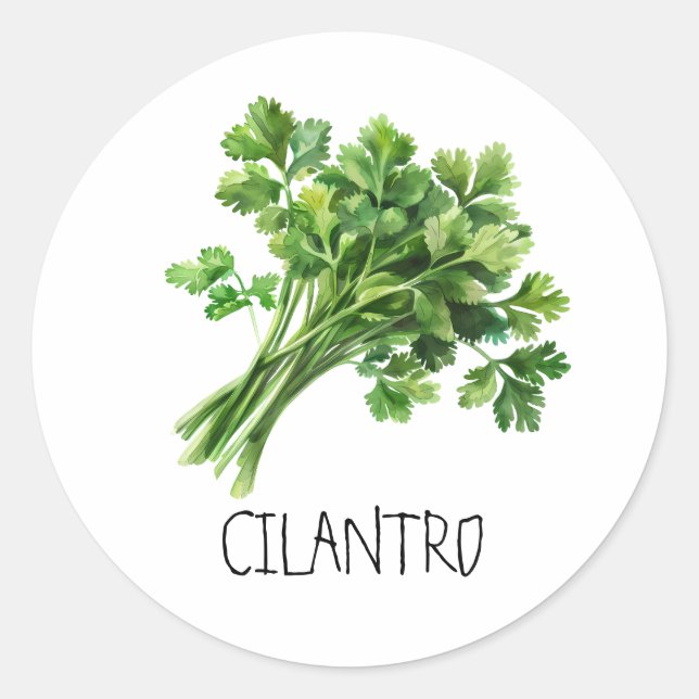 Adesivo Aquarela Herb Cilantro (Frente)